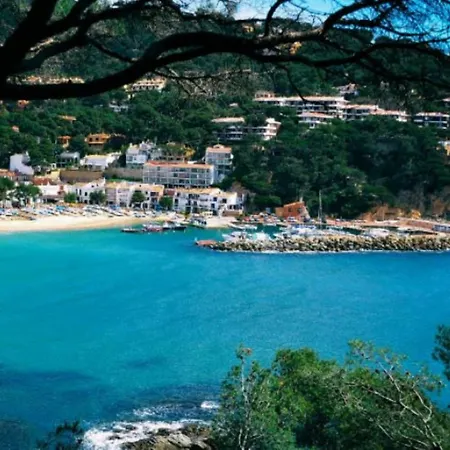Cenit Toixo 2 Palafrugell