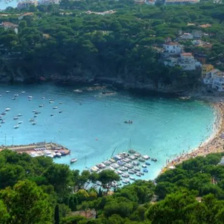 Apartment Cenit Toixo 2 Palafrugell